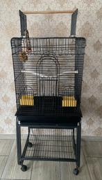 Grande cage pour perroquet avec ses accessoires complets, Dieren en Toebehoren, Nieuw, Ophalen of Verzenden