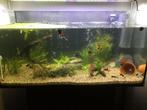 Aquarium, Dieren en Toebehoren, Ophalen, Gebruikt, Leeg aquarium