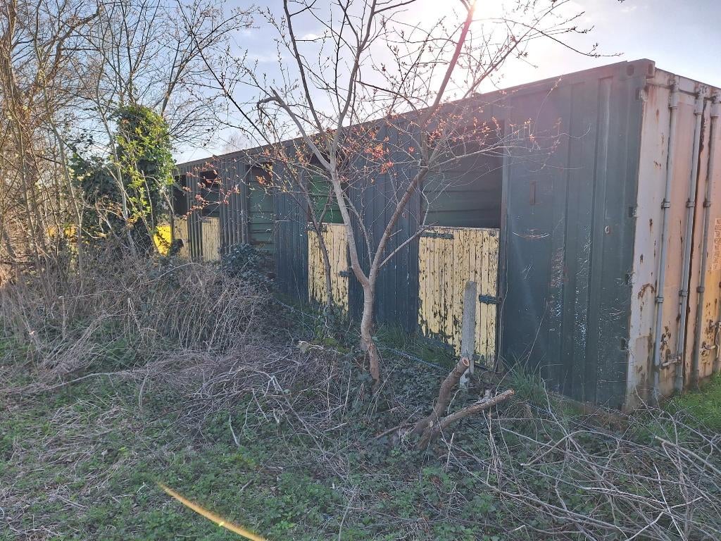 stalcontainer met 5 stallen, Pâturage, 4 chevaux ou poneys ou plus