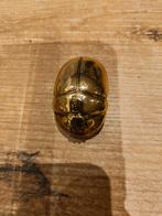 Egyptische beeldjes verguld met goud 16stuks, Ophalen, Zo goed als nieuw, Mens