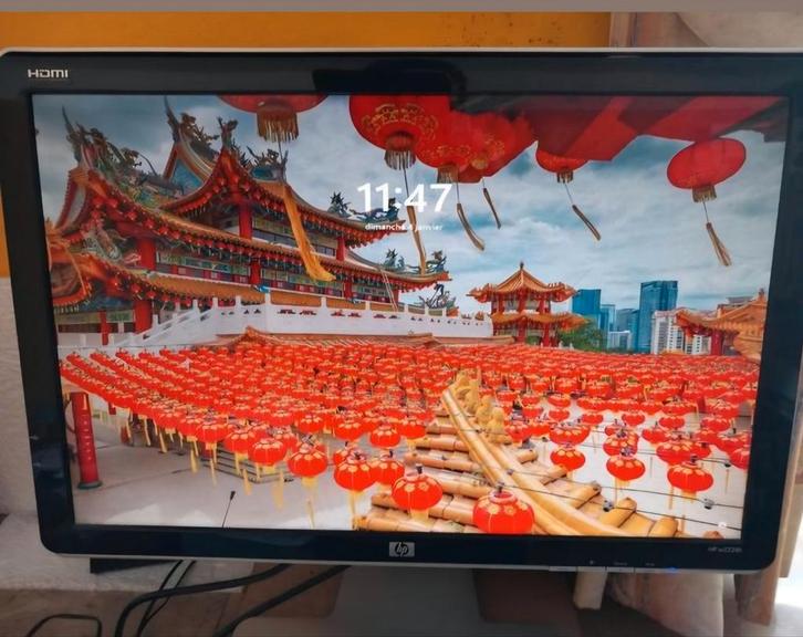 HP w2228h HDMI draaibare monitor en hoogteverstelling Dispos, Computers en Software, Monitoren, HDMI, Ophalen