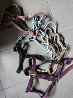 Lot pony halsters, Dieren en Toebehoren, Ophalen, Gebruikt, Overige soorten
