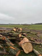 Hout op stam, Tuin en Terras, Brandhout, Ophalen