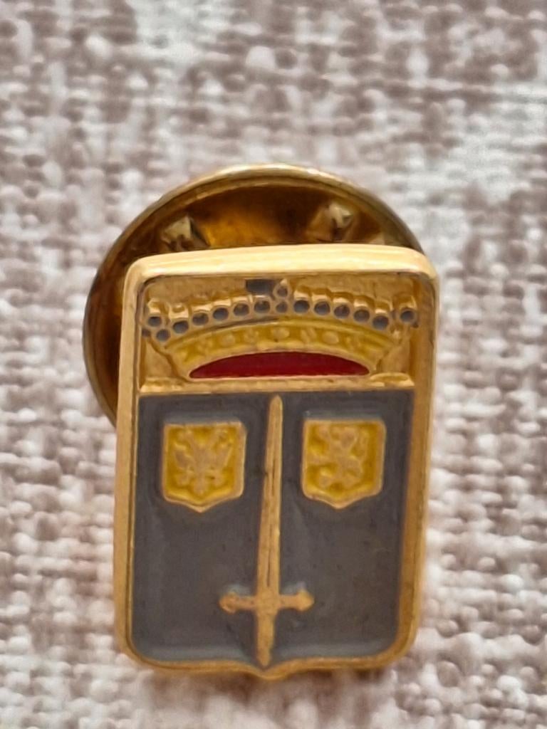 Pins Aalst en Aalst carnaval, Ophalen of Verzenden