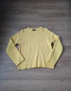 Trui Shein maat 36, Kleding | Dames, Truien en Vesten, Shein, Ophalen of Verzenden, Zo goed als nieuw, Maat 36 (S)