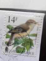Belgique timbre oiseau buzin curiosité /lire photos, Affranchi, Timbre-poste, Envoi, Autre