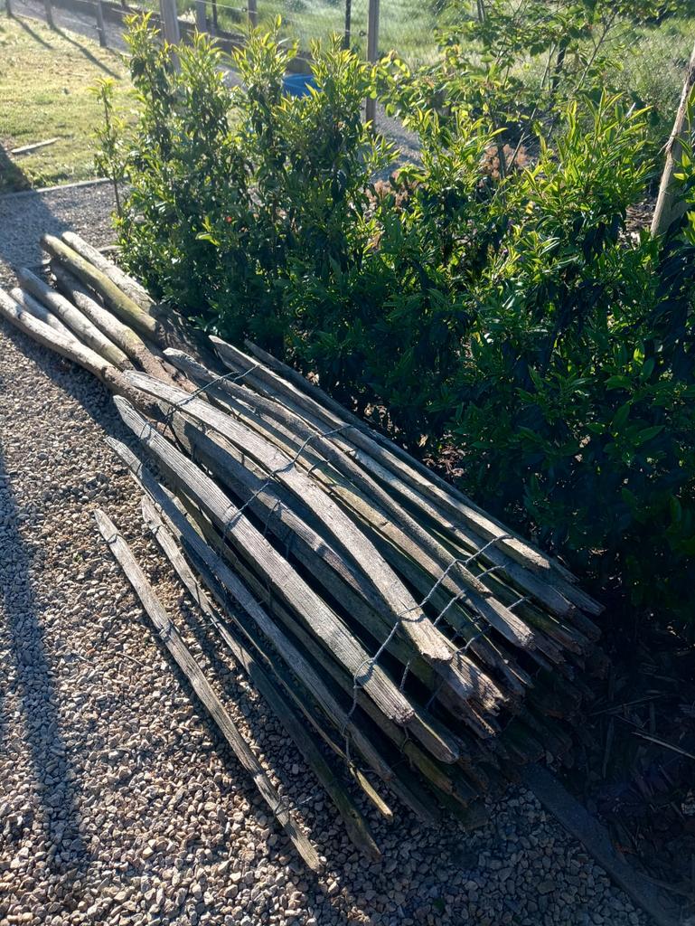 Kastanje hekwerk + poortje, Ophalen, Gebruikt