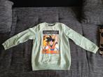Trui dragonball Z, Ophalen, Trui of Vest, Zo goed als nieuw, Jongen