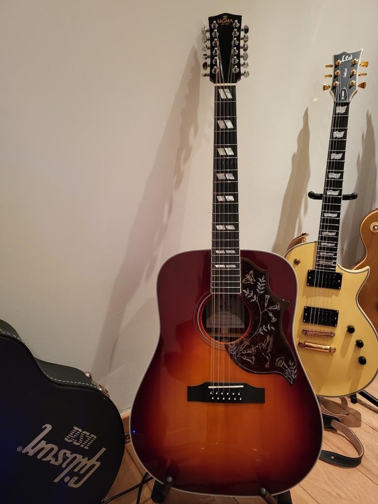 Sigma Sg DM12-SG5 12-snarige electro folkgitaar, Ophalen, 12-snarig