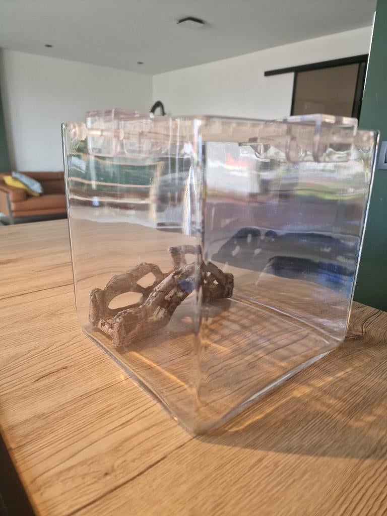 Vissenkom, Animaux & Accessoires, Poissons | Aquariums & Accessoires, Enlèvement, Bocal à poissons