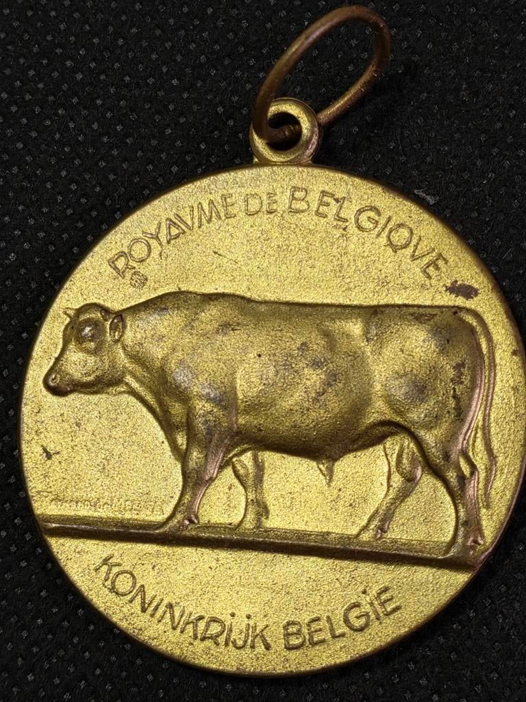 Belgisch medaille, Ophalen of Verzenden, Brons