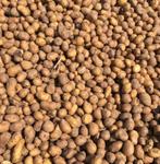 Voeder aardappelen gezocht Kruisem, Ophalen, Zo goed als nieuw, Eten en Drinken