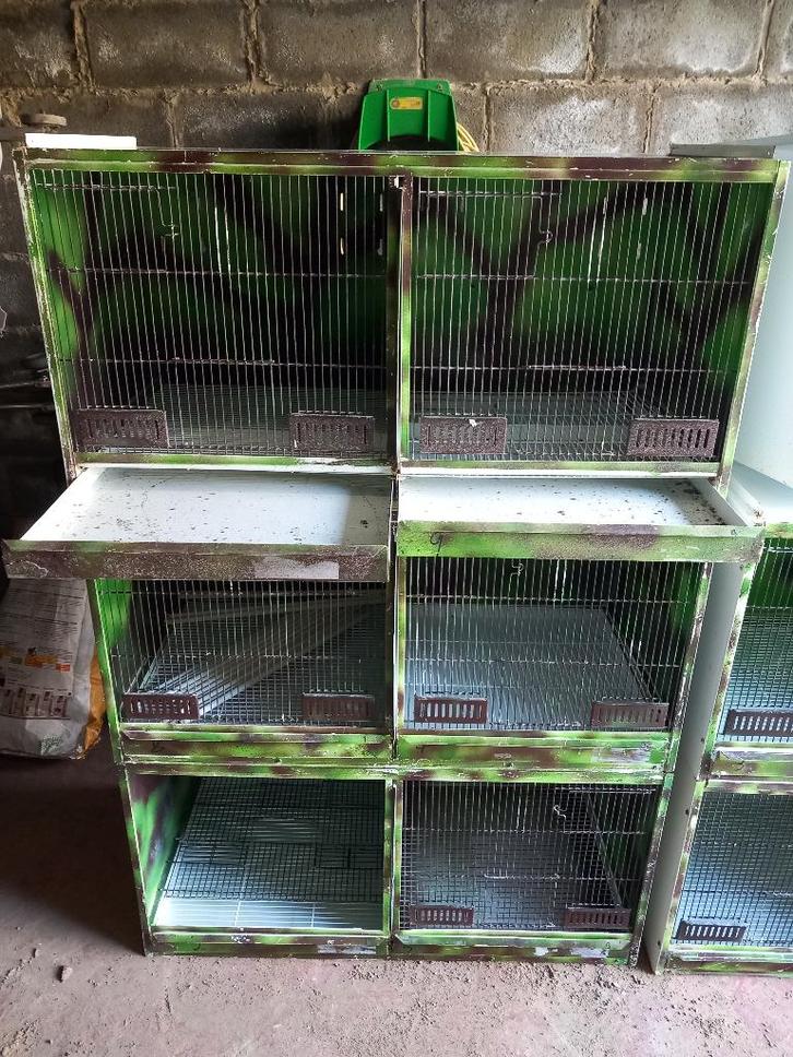 kweekkooien, Dieren en Toebehoren, Vogels | Hokken en Kooien, Gebruikt, Broedkooi of Kweekkooi, Metaal, Ophalen