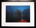 Tableau acrylique sur bois encadré - 'Nuit dans les bois', Antiquités & Art, Enlèvement ou Envoi
