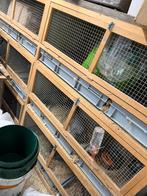 Konijnenflat - konijnenhok, Dieren en Toebehoren, Ophalen