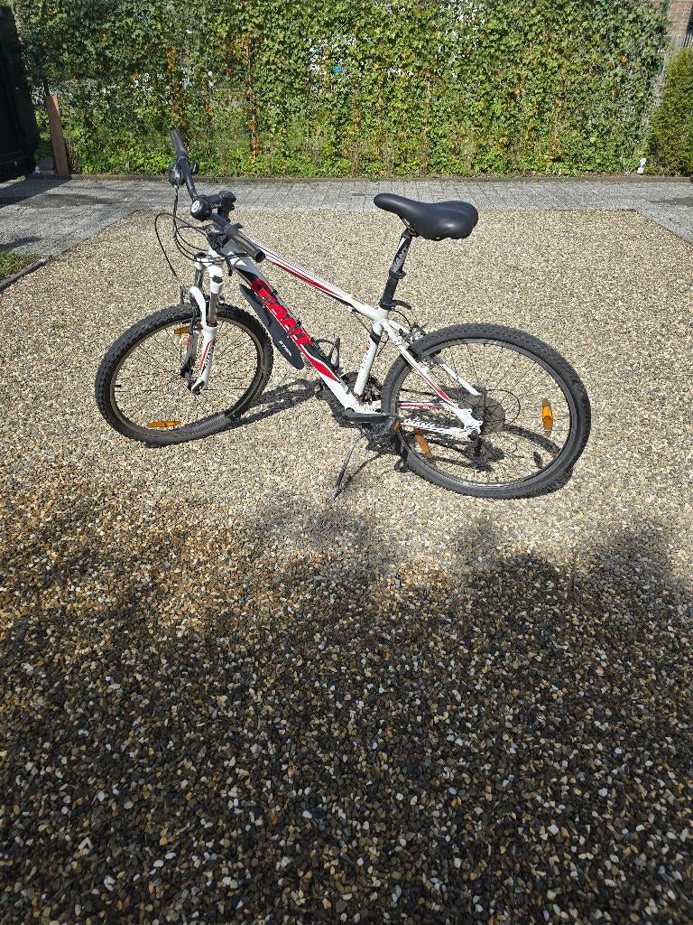 Mountainbike, Vélos & Vélomoteurs, Vélos | VTT & Mountainbikes, 45 à 49 cm, Giant, Enlèvement, Hommes