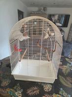 Grande Cage à oiseau + accessoires, Animaux & Accessoires, Oiseaux | Accessoires, Enlèvement, Comme neuf