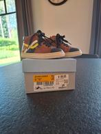 Romagnoli maat 24, Enlèvement