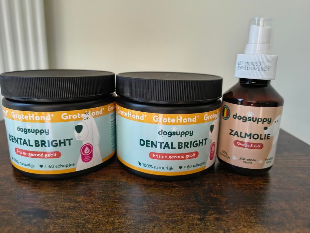 DogSuppy Dental Bright grote hond & zalmolie, Ophalen, Hond
