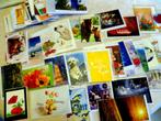 assortiment blanco 100 postkaarten !!, Ophalen of Verzenden, Nieuw