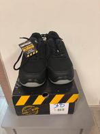 Basket chaussure Homme pointure 38 neuf, Enlèvement ou Envoi, Comme neuf