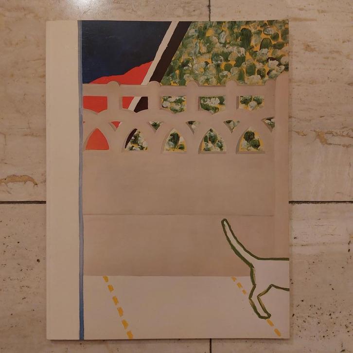 Roger RAVEEL ziet zien zeldzame catalogus 1981, Boeken, Kunst en Cultuur | Beeldend, Zo goed als nieuw, Schilder- en Tekenkunst