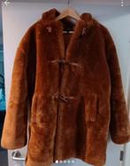 Mooie winterjas Caroll Paris, Kleding | Dames, Ophalen, Zo goed als nieuw