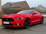 Ford Mustang 2.3 EcoBoost @@ RECARO @@ Moteur neuf 8.800 km, Auto's, Ford, 4 zetels, Achterwielaandrijving, Gebruikt, Euro 6