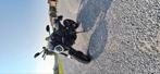 Ducati monster +, Motoren, Motoren | Ducati