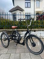 Tricycle à assistance électrique - Easy Rider Proxy, Vélos & Vélomoteurs, Casques de cyclomoteur, Comme neuf, Large