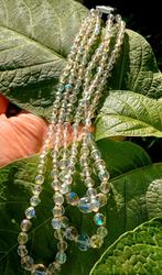 Antieke aurora boralis  ketting, Tuin en Terras, Planten | Struiken en Hagen, Ophalen