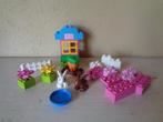 LEGO Duplo Roze Opbergdoos - 4623, Kinderen en Baby's, Speelgoed | Duplo en Lego, Ophalen of Verzenden, Gebruikt, Complete set