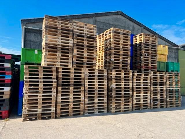 Euro palletten Te koop gevraagd, Bricolage & Construction, Bois & Planches, Palette, Moins de 200 cm, Moins de 25 mm, Enlèvement