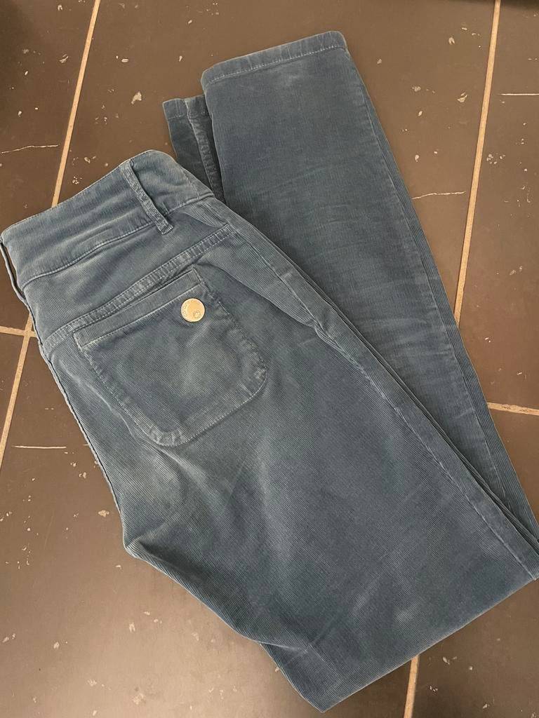 Ribfluwelen blauwe broek Caroline Biss maat 38, Ophalen of Verzenden, Zo goed als nieuw, Maat 38/40 (M)