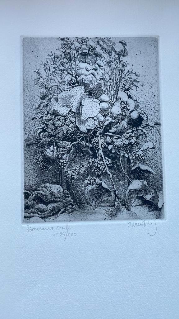 Houtsnede museale ets Renaat Veris, Antiek en Kunst, Kunst | Etsen en Gravures, Ophalen
