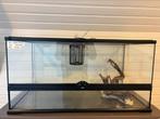 Terrarium, Dieren en Toebehoren, Knaagdieren en Konijnen | Hokken en Kooien, Ophalen, Nieuw, Overige typen