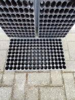 Zaaitrays zaaibak, Ophalen