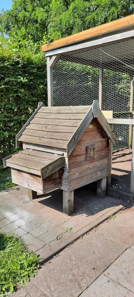 Kippenhok Zander voor 4 tot 6 kippen + ren, Dieren en Toebehoren, Pluimvee | Toebehoren, Gebruikt, Kippenhok of Kippenren, Ophalen