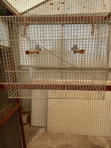 Vogelkooi/ draadkooi beschikbaar voor biedingen