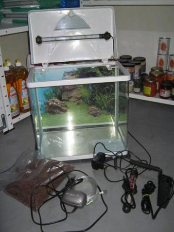 aquarium 30 liter 