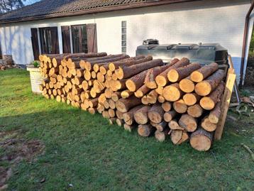 brandhout den spar  beschikbaar voor biedingen