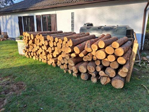 brandhout den spar, Tuin en Terras, Brandhout, Stammen, Ophalen