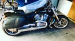 Harley-Davidson VRSCF V-Rod Muscle 2015 - Seulement 12734 km, Chopper, Particulier