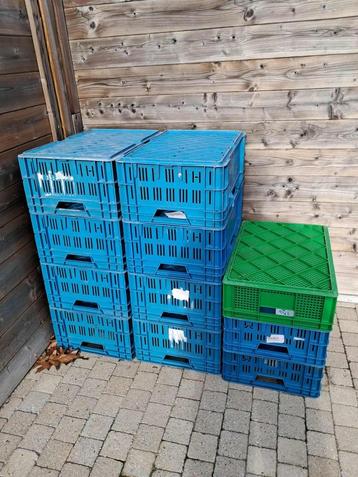 11 stapelbakken beschikbaar voor biedingen