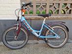 kinderfiets 20 inch (diameter wiel 50 cm incl. buitenband), Ophalen, Gebruikt, 20 inch of meer, NORTA