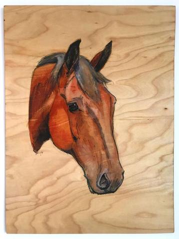Paardenkop (in kleur) beschikbaar voor biedingen