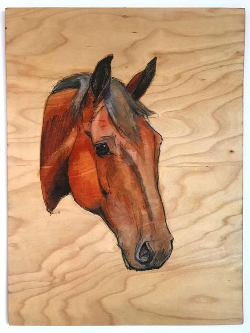 Paardenkop (in kleur), Antiek en Kunst, Kunst | Schilderijen | Modern, Verzenden