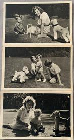 6 cartes postales rares "Prince Alexandre", Collections, Autres thèmes, Non affranchie, 1940 à 1960, Enlèvement ou Envoi