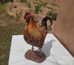 Coq empaillé, Verzamelen, Dierenverzamelingen, Ophalen, Zo goed als nieuw, Boerderijdier, Opgezet dier