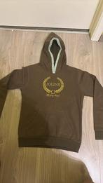 Joline 13-14 jaar (paardrij)hoodie Groen, Ophalen of Verzenden, Zo goed als nieuw, Groen